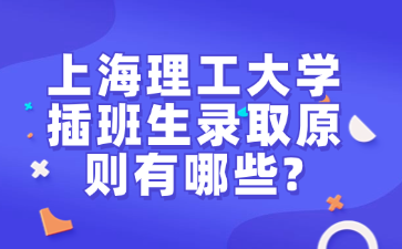 上海理工大学插班生录取原则有哪些?