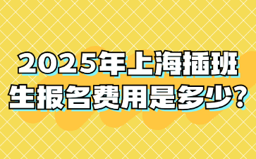 2025年上海插班生报名费用是多少?